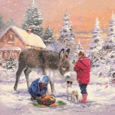 Donkey and New Friends