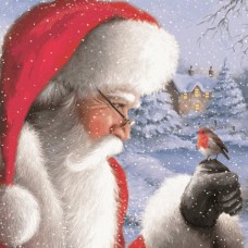Santa and Robin